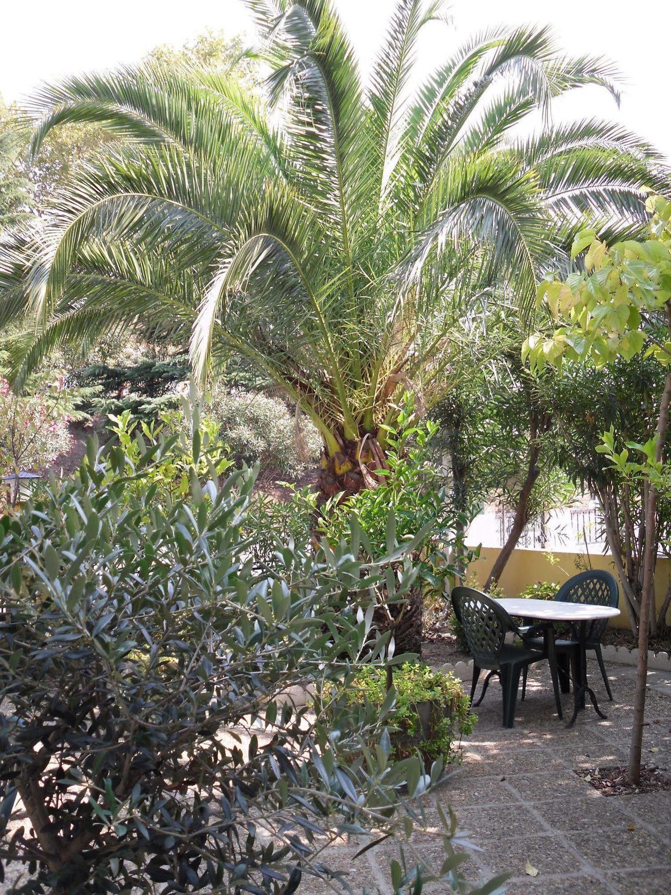 Hotel Le Nid Argeles-sur-Mer Exterior photo