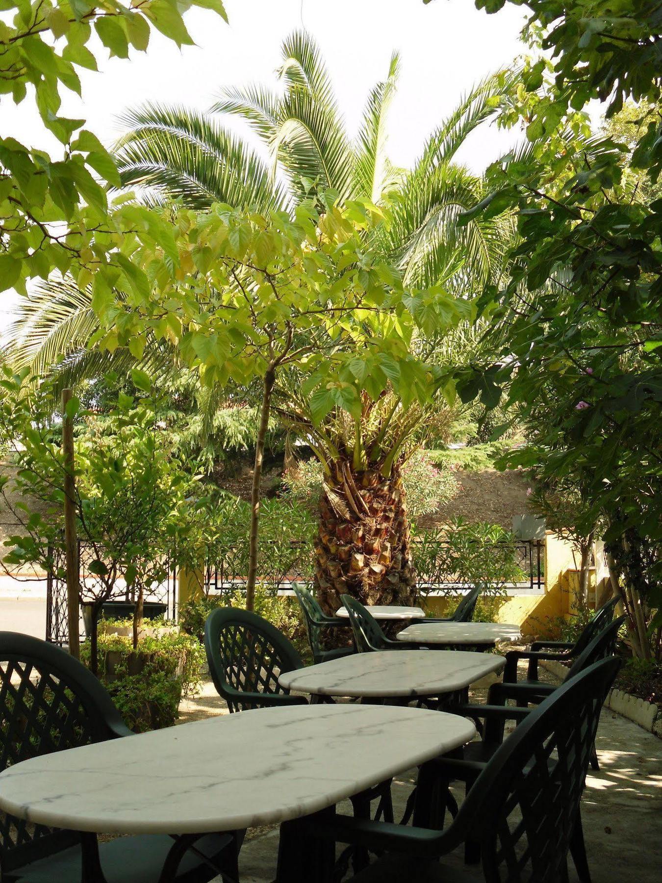Hotel Le Nid Argeles-sur-Mer Exterior photo